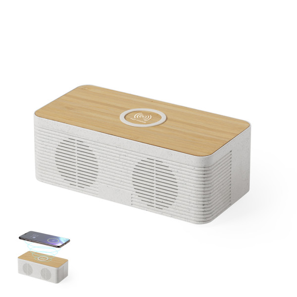 Oplader Luidspreker Trecam